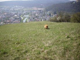 2010-06-04/DSCI6347.JPG