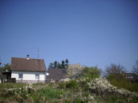 2010-06-04/DSCI6349.JPG