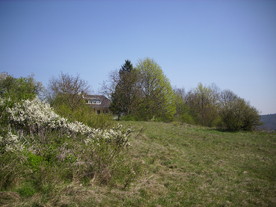 2010-06-04/DSCI6350.JPG