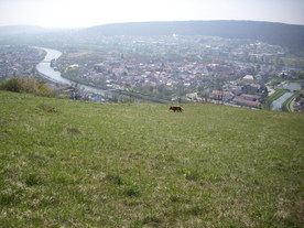 2010-06-04/DSCI6351.JPG