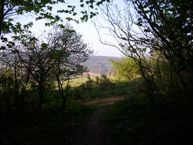 2010-06-04/DSCI6393.JPG