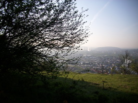 2010-06-04/DSCI6395.JPG