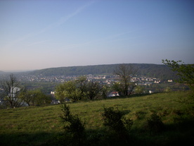 2010-06-04/DSCI6396.JPG