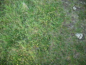 2010-06-04/DSCI6398.JPG