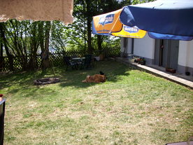 2010-06-04/DSCI6406.JPG
