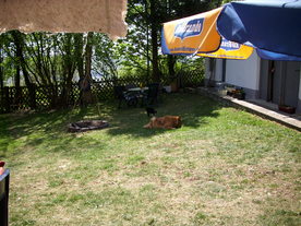2010-06-04/DSCI6407.JPG