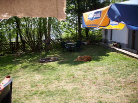 2010-06-04/DSCI6408.JPG