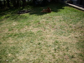 2010-06-04/DSCI6410.JPG