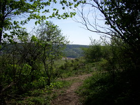 2010-06-04/DSCI6411.JPG