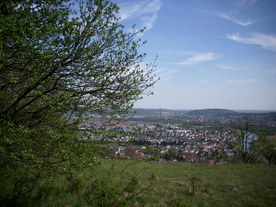2010-06-04/DSCI6413.JPG