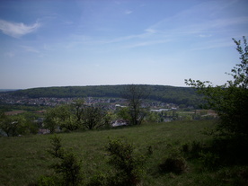 2010-06-04/DSCI6414.JPG