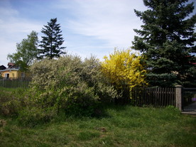 2010-06-04/DSCI6417.JPG