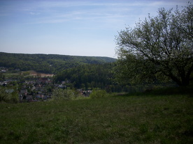 2010-06-04/DSCI6418.JPG