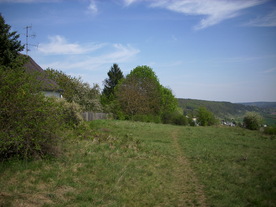 2010-06-04/DSCI6420.JPG