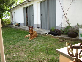 2010-06-04/DSCI6421.JPG