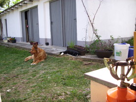 2010-06-04/DSCI6422.JPG