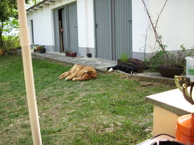 2010-06-04/DSCI6423.JPG