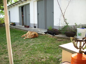 2010-06-04/DSCI6424.JPG