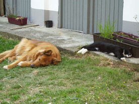 2010-06-04/DSCI6425.JPG