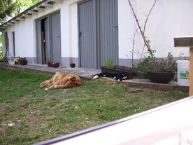 2010-06-04/DSCI6430.JPG