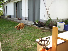 2010-06-04/DSCI6431.JPG