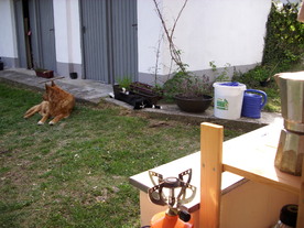 2010-06-04/DSCI6432.JPG