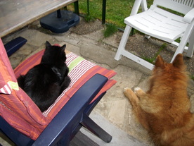 2010-06-04/DSCI6433.JPG