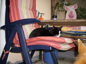 2010-06-04/DSCI6434.JPG