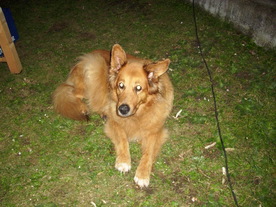 2010-06-04/DSCI6448.JPG