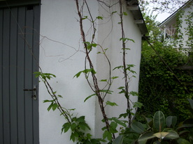 2010-06-04/DSCI6459.JPG