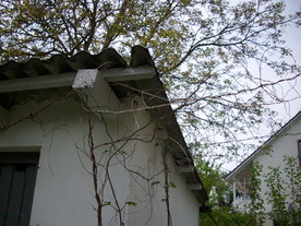 2010-06-04/DSCI6460.JPG