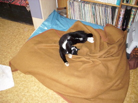 2010-06-04/DSCI6517.JPG