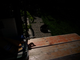 2010-06-04/DSCI6519.JPG