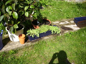 2010-06-04/DSCI6521.JPG