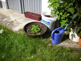 2010-06-04/DSCI6522.JPG