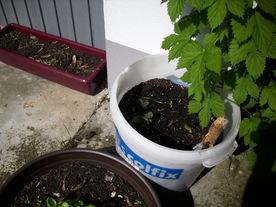 2010-06-04/DSCI6523.JPG