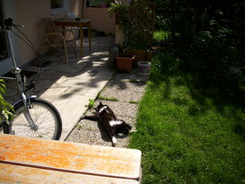 2010-06-04/DSCI6526.JPG