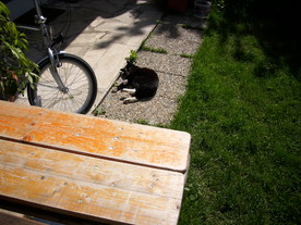 2010-06-04/DSCI6527.JPG