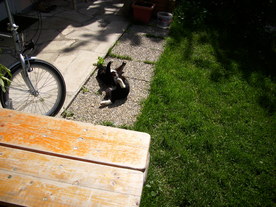 2010-06-04/DSCI6528.JPG