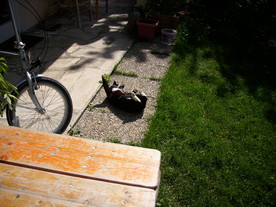 2010-06-04/DSCI6529.JPG