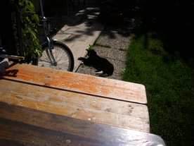 2010-06-04/DSCI6530.JPG
