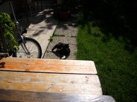 2010-06-04/DSCI6531.JPG