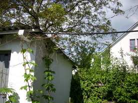 2010-06-04/DSCI6533.JPG