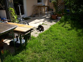 2010-06-04/DSCI6534.JPG