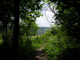 2010-06-04/DSCI6536.JPG