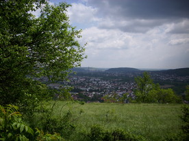 2010-06-04/DSCI6537.JPG