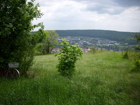 2010-06-04/DSCI6539.JPG