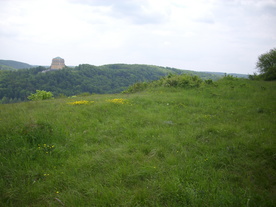 2010-06-04/DSCI6542.JPG