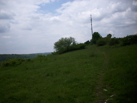 2010-06-04/DSCI6545.JPG