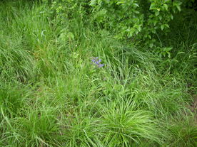 2010-06-04/DSCI6546.JPG